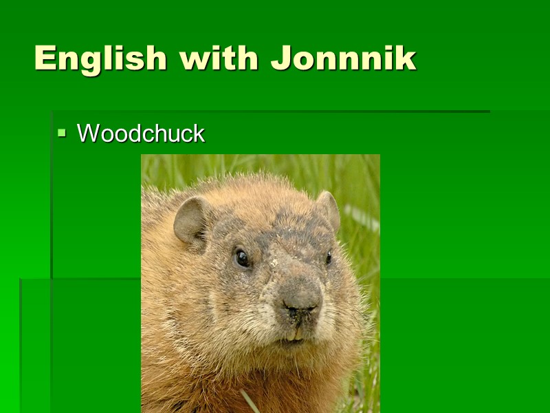 English with Jonnnik Woodchuck